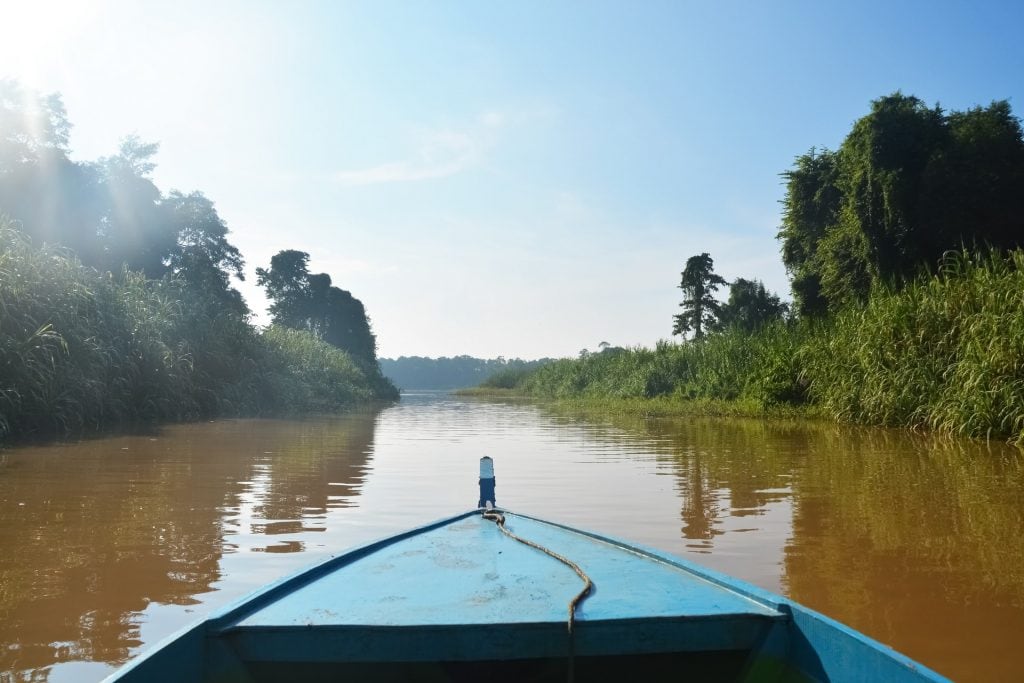 The bow of a boat pointed down a river with threes on either side on a sunny day.