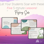 Flying Solo Lesson Plan Bundle