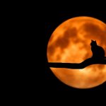 Listen Up! Five Spooky Choral Works to Set the Mood for Halloween